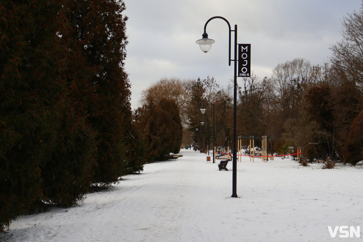Як виглядає центральний парк у Луцьку у перші дні 2026 року. Фоторепортаж