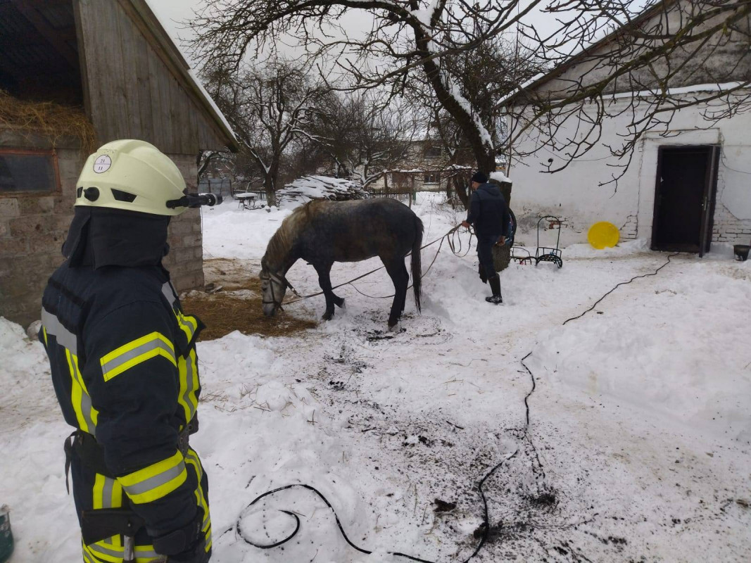Загасили пожежі і врятували коня: один день роботи волинських рятувальників