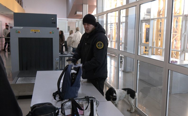 Від наркотиків до бурштину: як службові собаки шукають заборонені речі на волинському кордоні
