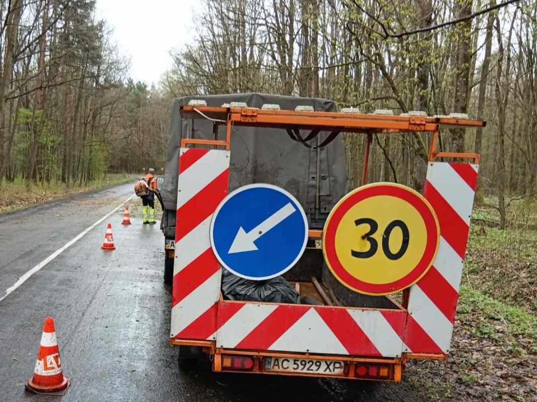 На Волині буревій пошкодив дах ліцею та повалив дерева