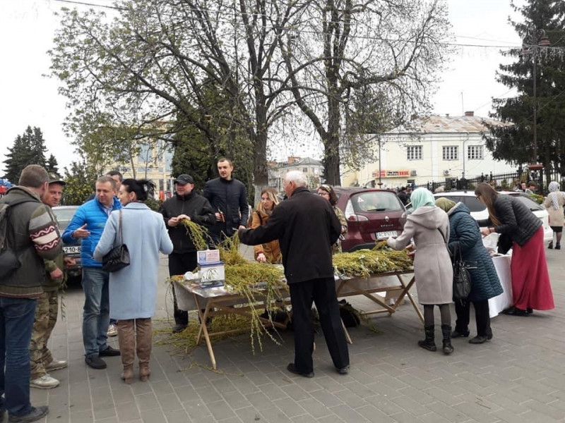 У Вербну неділю в Луцьку продаватимуть вербу, щоб допомогти військовим