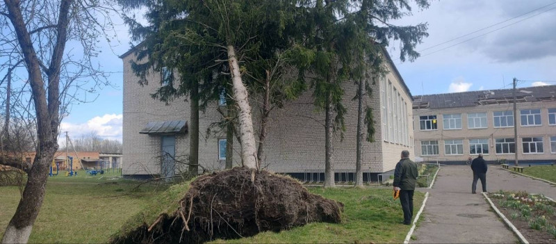 На Волині буревій пошкодив дах ліцею та повалив дерева