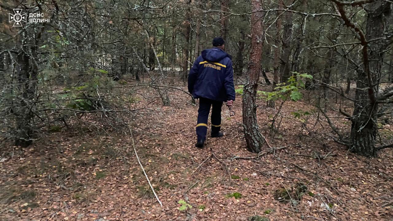 У лісі на Волині зник чоловік, його шукають вже другий день