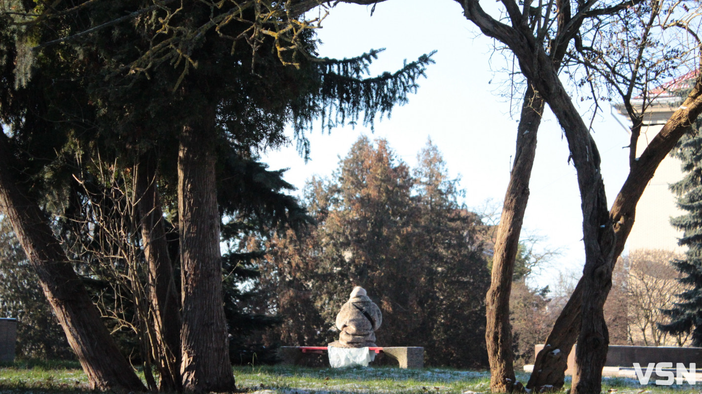 Засніжений Луцьк: як виглядають парки та двори міста взимку напередодні Нового 2026 року. Фоторепортаж