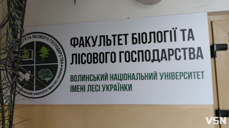 На Волині активізувалися змії: які види небезпечні та що робити у разі укусу
