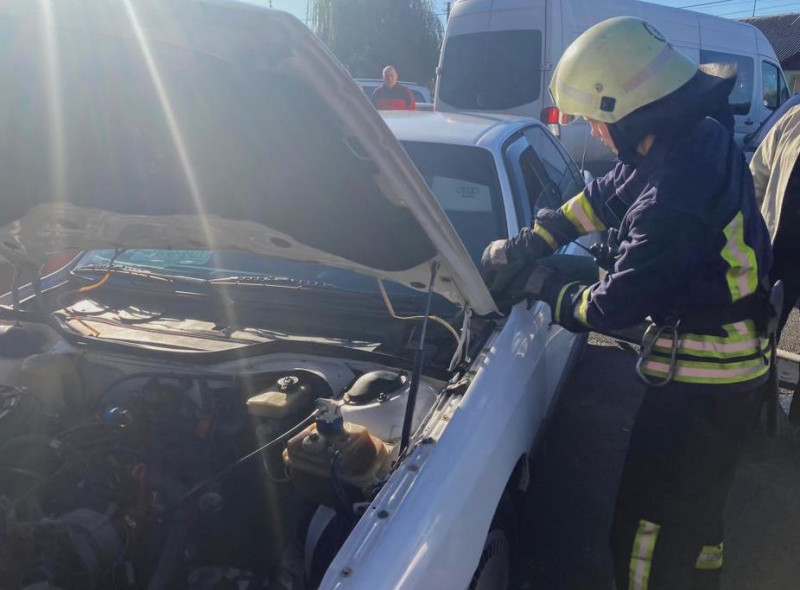 Вуж-автолюбитель: на Волині рятувальники виловили плазуна під капотом авто