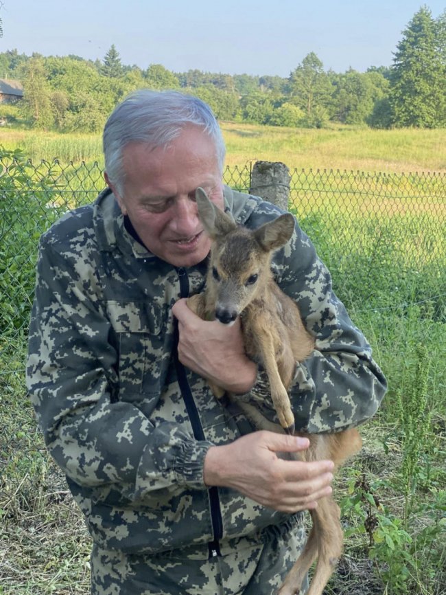 Польський ксьондз на Волині вигодовує маленьку сарну, що ледь не загинула