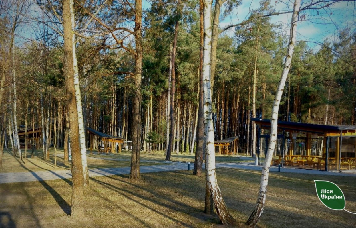 Ліси стають доступнішими: на Волині та Рівненщині готують інклюзивні місця відпочинку