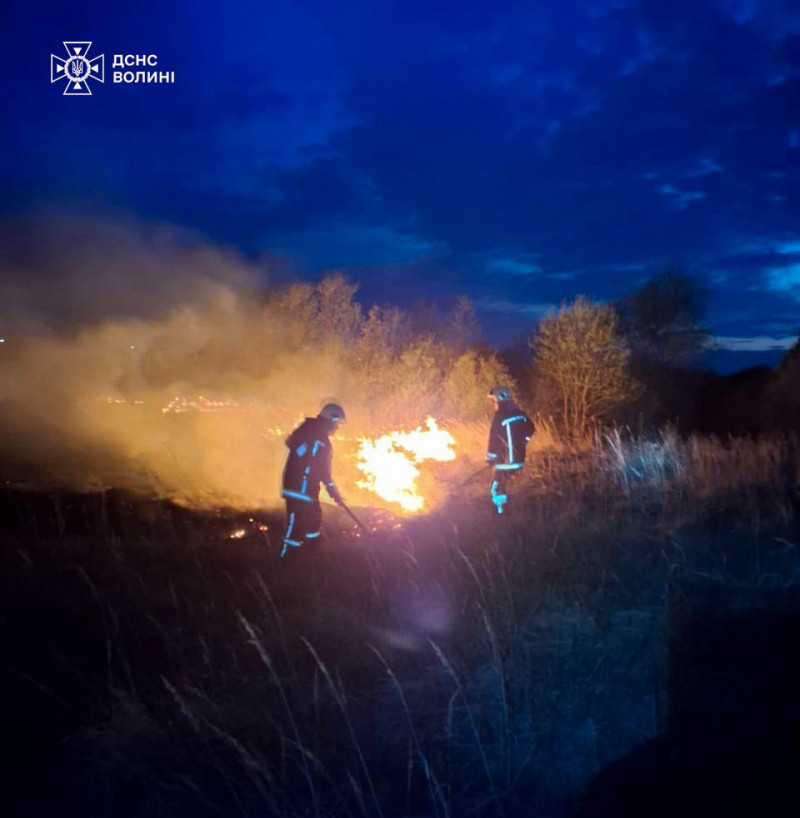 Через людську недбалість на Волині вигоріло близько 6 гектарів сухостою