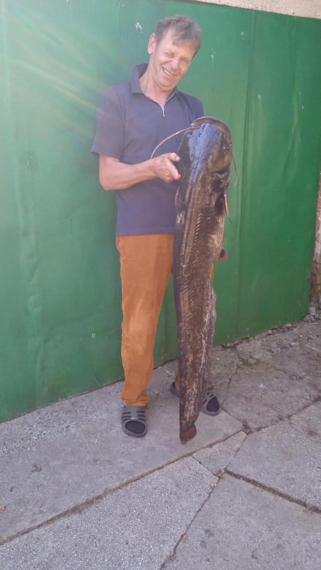 На Рівненщині рибалка спіймав 13-кілограмову рибу