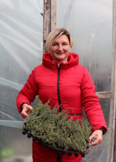 Мрія, що розквітла: родина з Волині вирощує тисячі саджанців для всієї України