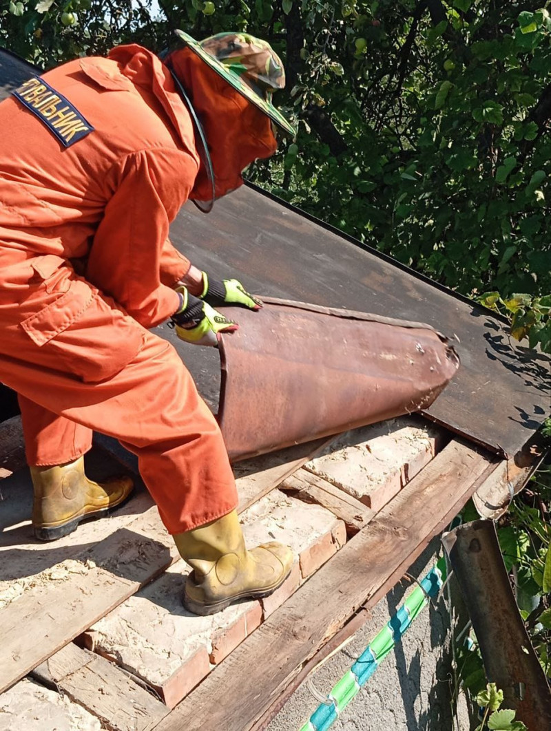 На Волині людей рятують від смертельно небезпечних комах