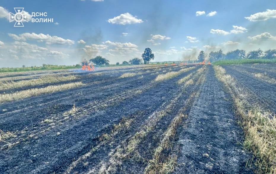 На Волині через підпал стерні ледь не згоріло зернове поле: палія оштрафували