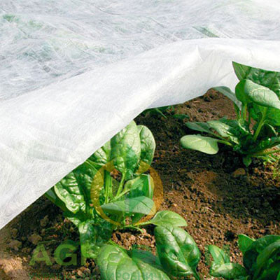 Агроволокно чи димлення: як врятувати волинський город від морозів?