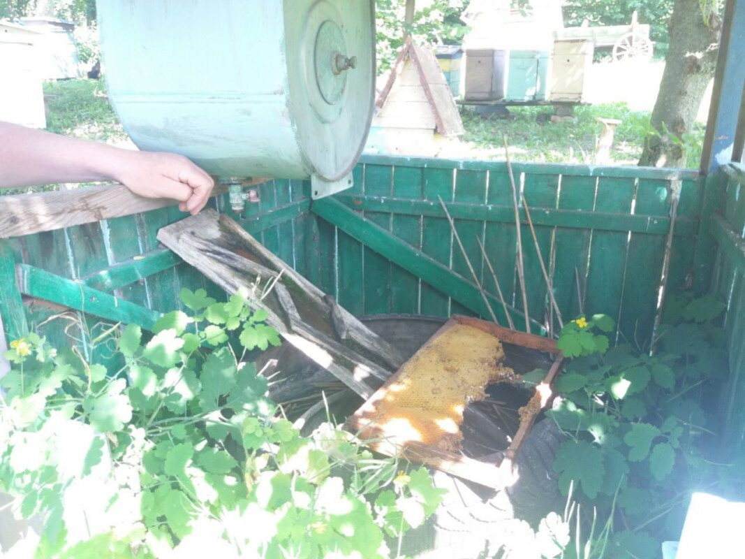 Унікальна колекція, жива пасіка й вулик, що лікує: де на Волині діє єдиний музей бджільництва