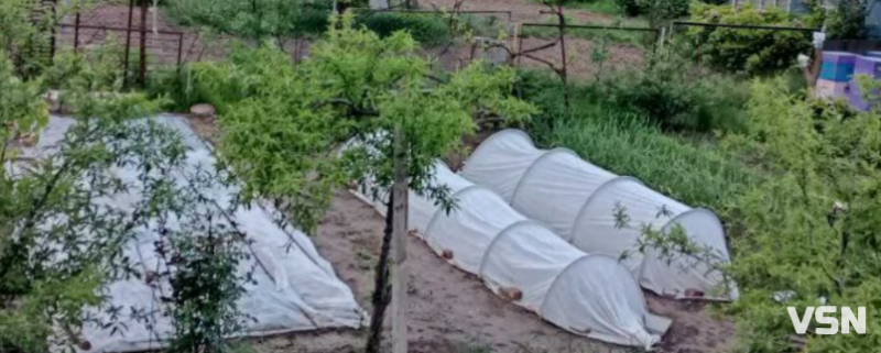 Що і коли садити на Волині: покроковий календар весняних робіт