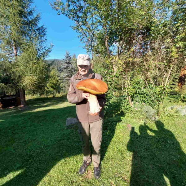 У Карпатах знайшли гриб-гігант, який важить 3 кілограми