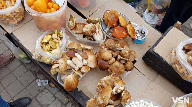 Скільки коштують гриби на ринку у Луцьку та які вже можна купити