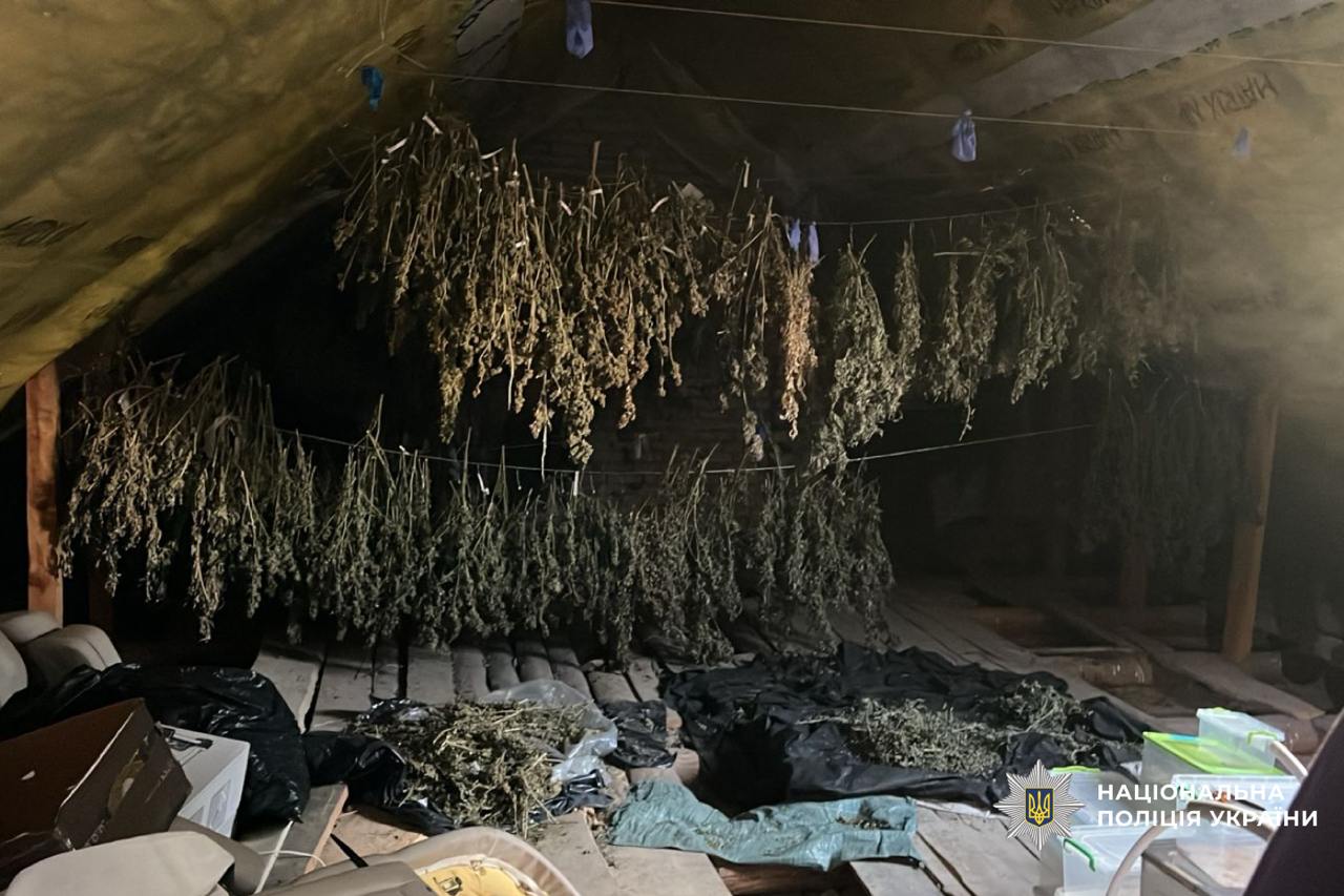 На Волині подружжя ховало наркотики у кондитерські вироби
