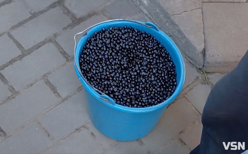 Скільки коштує чорниця та суниця на ринку у Луцьку?