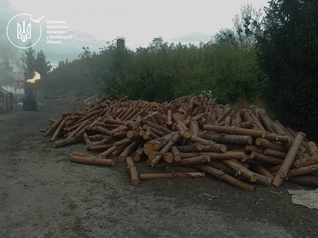 На Волині незаконно випалювали деревне вугілля: знайшли 65 кубометрів деревини