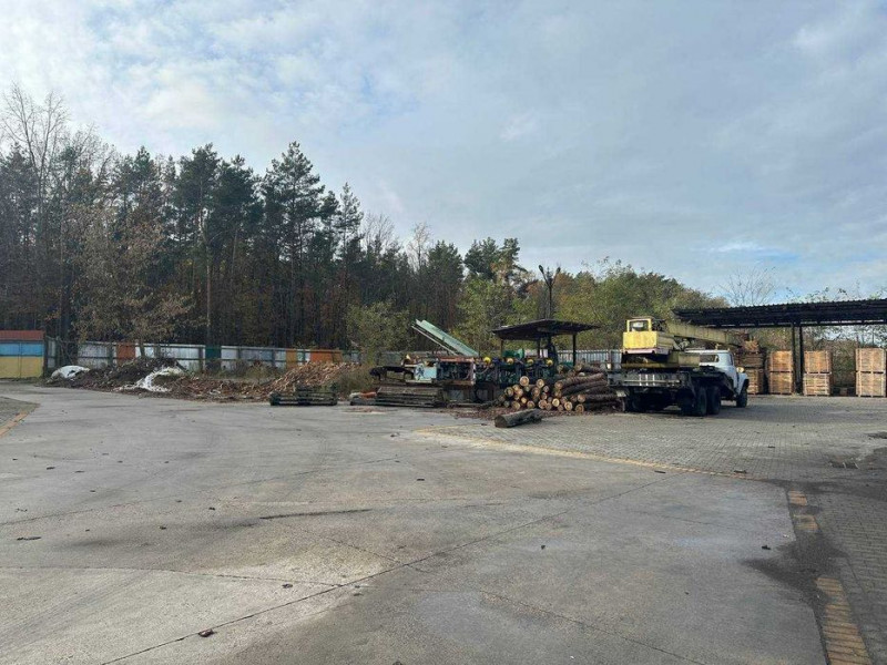 Біля Луцька виставили на продаж деревообробний завод за 28 мільйонів