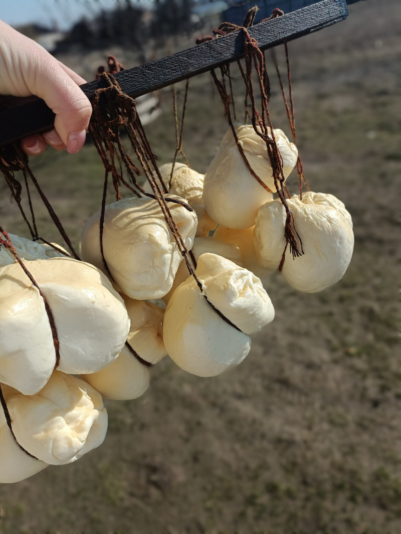 Королівство крафтового сиру поблизу Луцька: як родина Федорових своїми силами варить 25 видів сирів