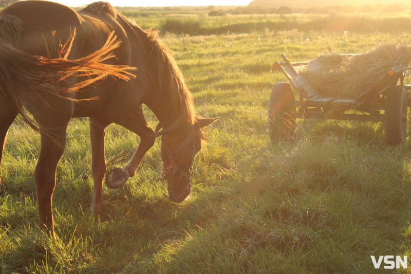 «Працювати неможливо взагалі»: як зростання вартості пального впливає на аграріїв та фермерів Волині