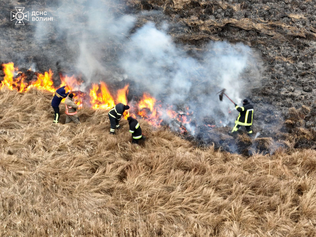 На Волині дві доби ліквідовували масштабну пожежу сухої трави