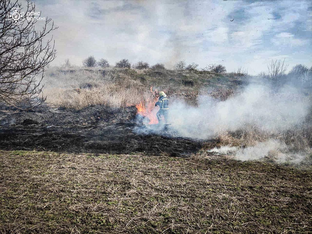 Багато загорянь за кілька годин: як на Волині борються з паліями сухостою