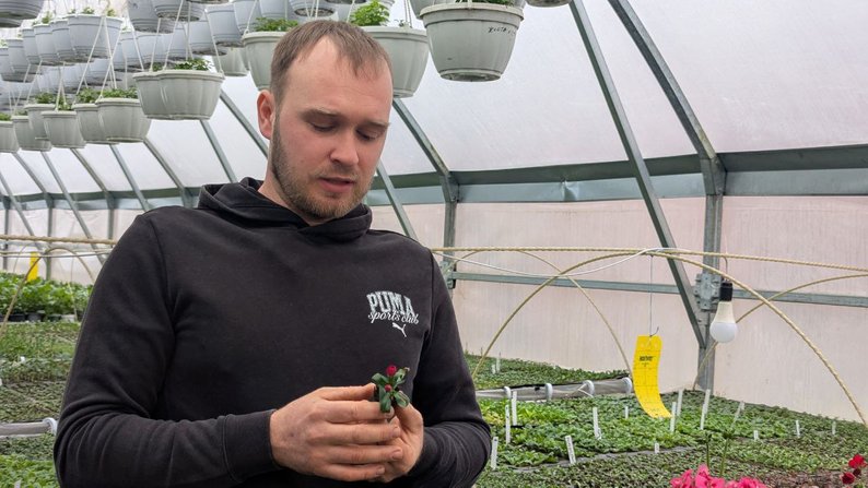 Волинянин вирощує понад 50 сортів квітів у теплицях