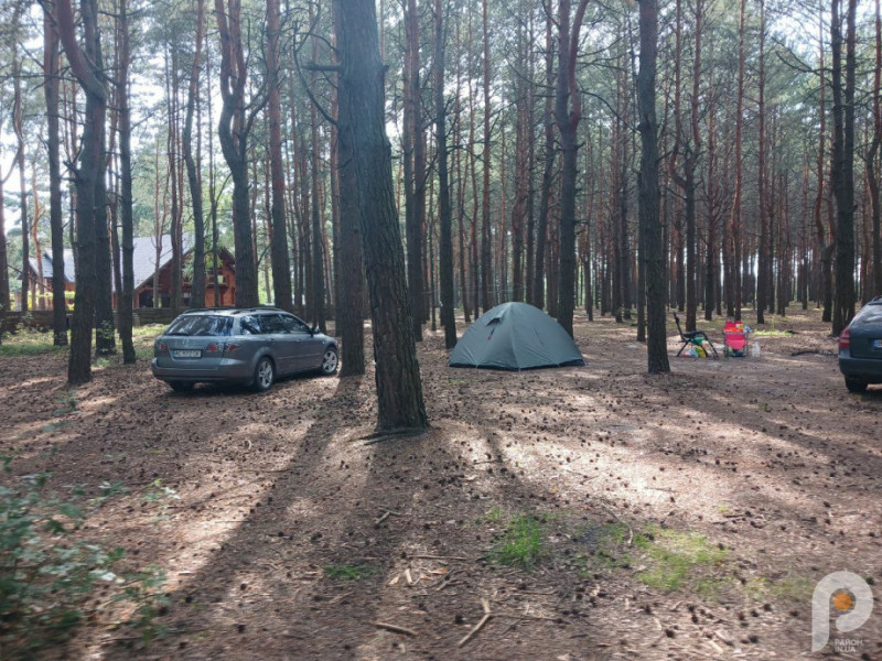 Озеро Пісочне на Волині: як відпочити серед соснових лісів і скільки це коштує