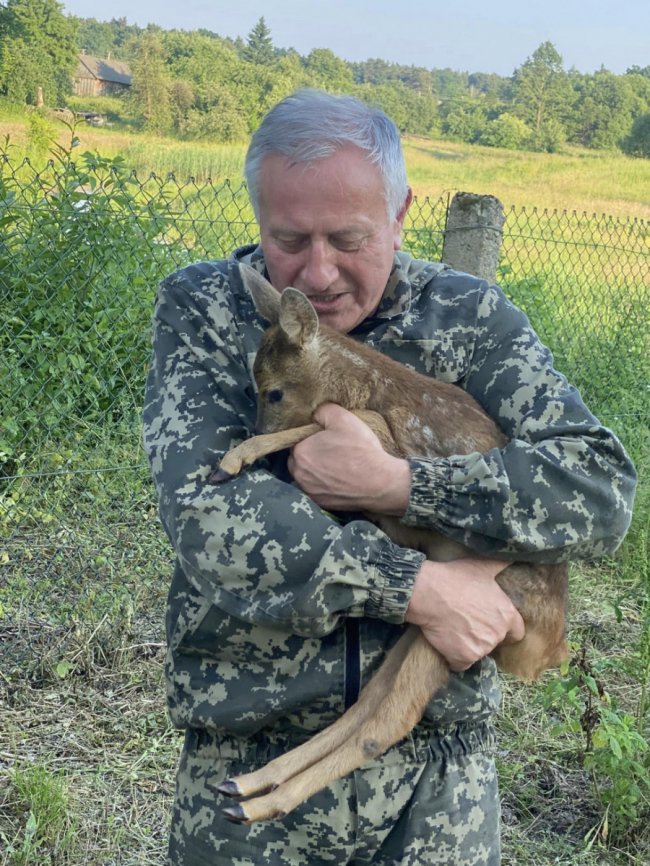 Польський ксьондз на Волині вигодовує маленьку сарну, що ледь не загинула