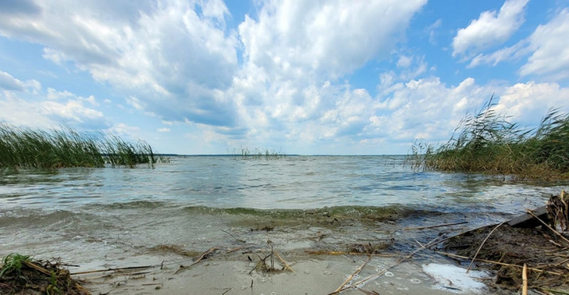 Знову повноводне озеро: за літо у Світязі значно зріс рівень води