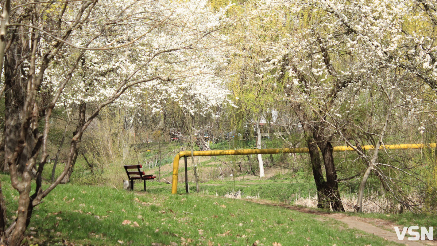 Дощі та нічні заморозки: якою буде погода 18 та 19 квітня на Волині?