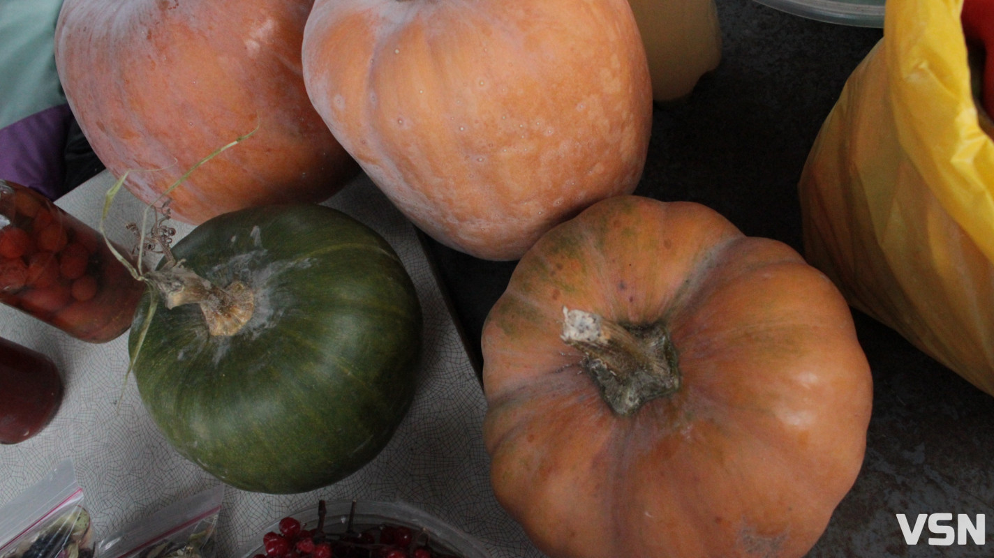 Скільки коштують яблука, гарбузи та картопля на Центральному ринку у Луцьку