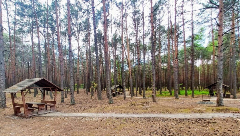 Шацькі озера на Волині: чим вражають та чому варто туди їхати влітку