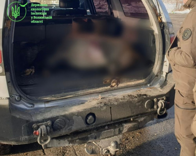 На Волині затримали браконьєра, який застрелив самку дикого кабана