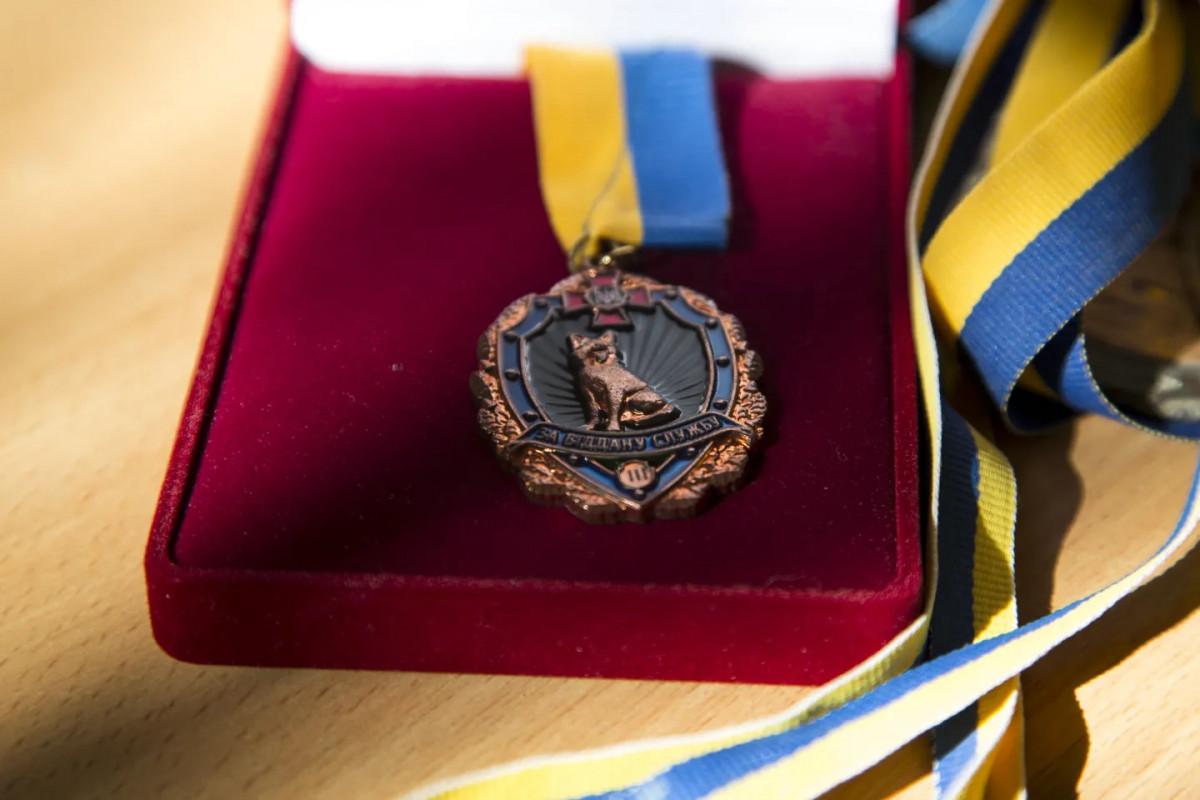 В Луцьку вручили медаль службовій собаці волинських нацгвардійців