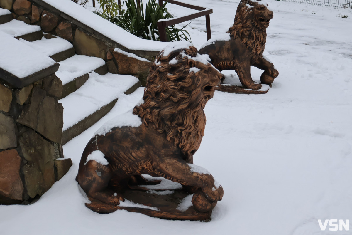 Останній день 2025 у Луцьку: місто в очікуванні Нового року. Фоторепортаж