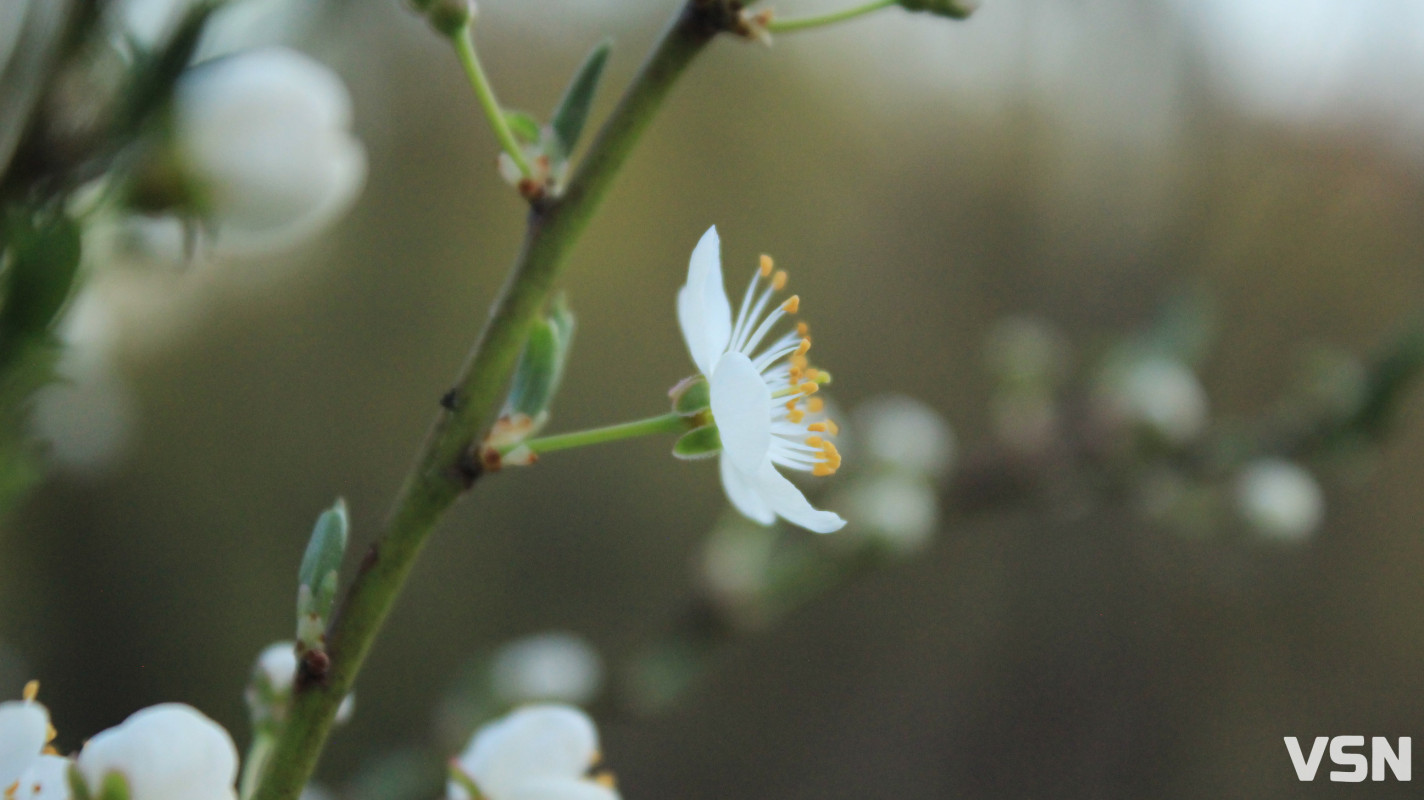 Як виглядає парк 900-річчя у Луцьку навесні 2026. Фоторепортаж