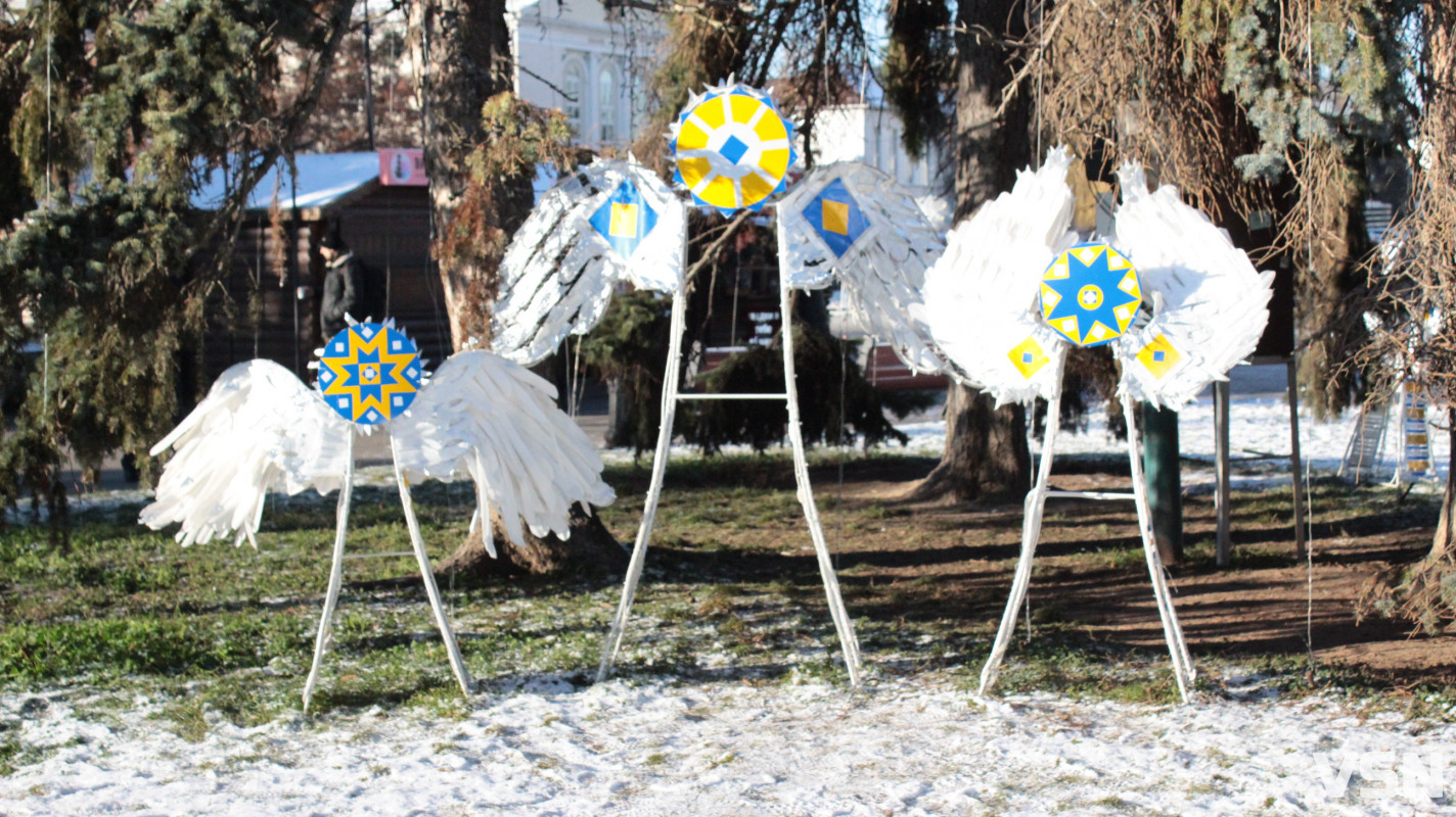 Засніжений Луцьк: як виглядають парки та двори міста взимку напередодні Нового 2026 року. Фоторепортаж