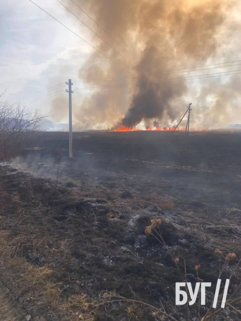 На Волині горить два гектари поля