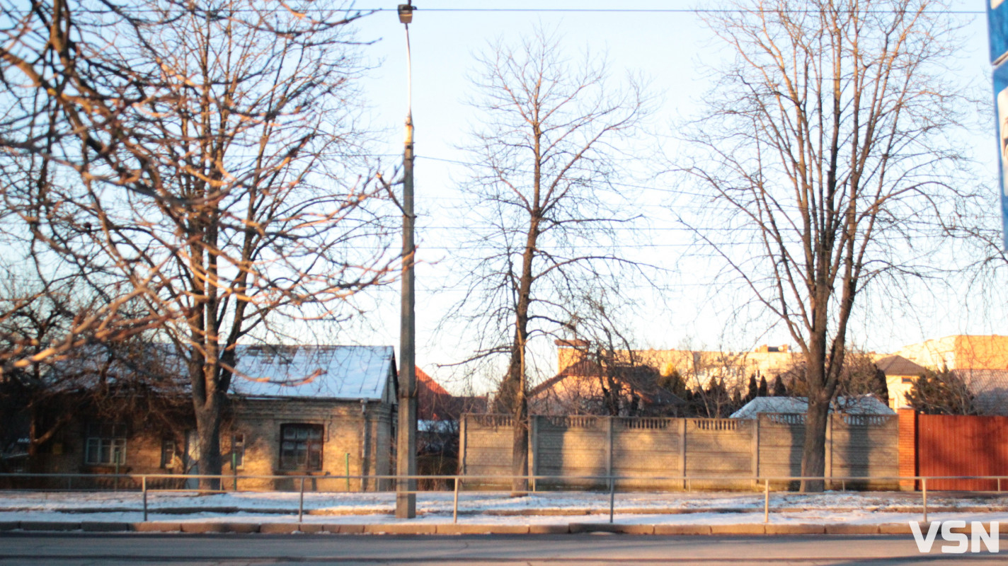 Засніжений Луцьк: як виглядають парки та двори міста взимку напередодні Нового 2026 року. Фоторепортаж