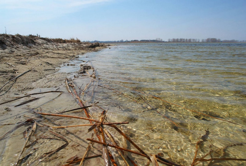 Знову повноводне озеро: за літо у Світязі значно зріс рівень води