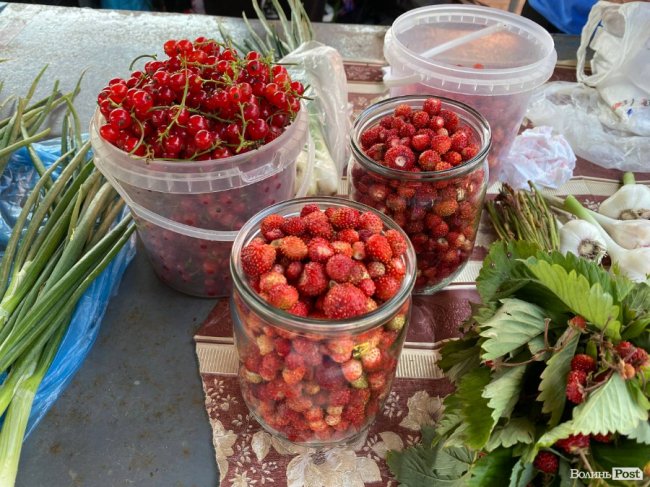 На ринках Луцька вже торгують лісовими ягодами: ціни