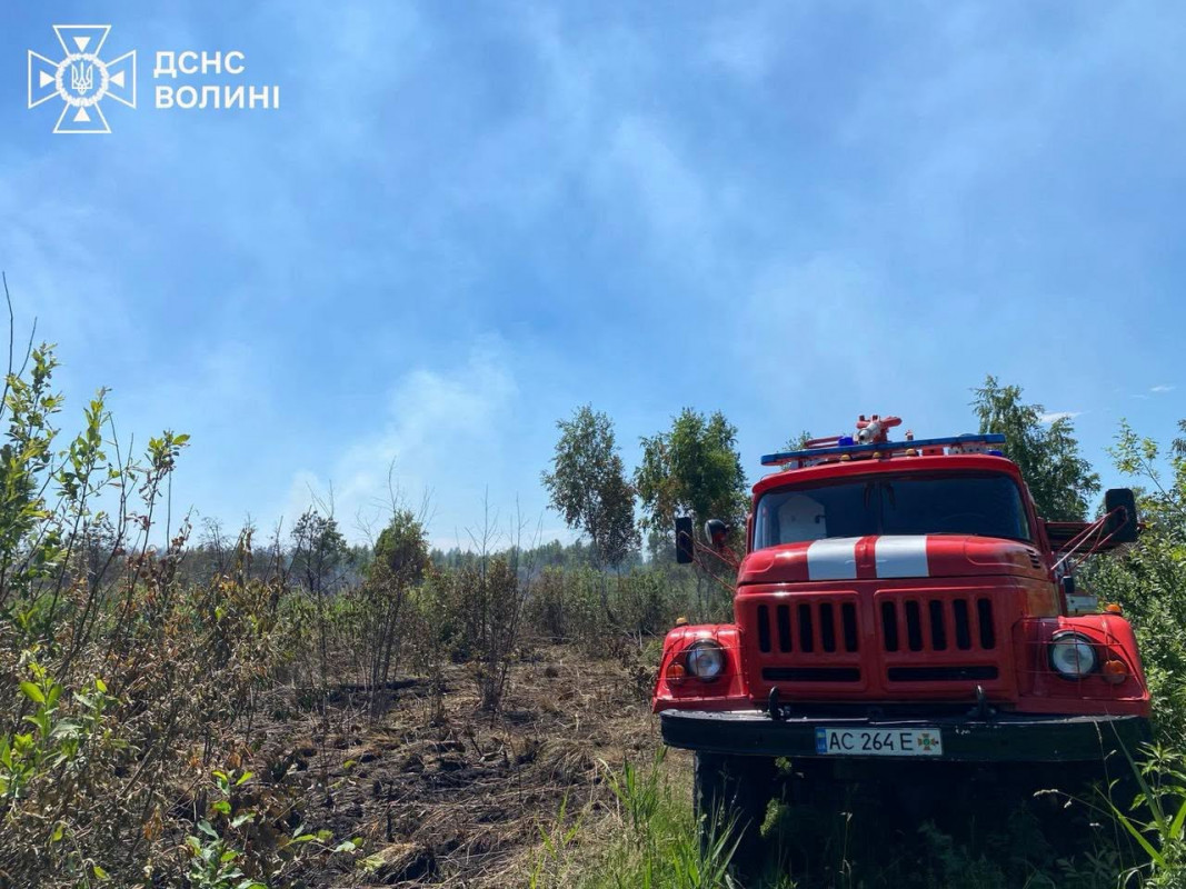 На Волині рятувальники другий день ліквідовують тління торфовища на площі 4 гектари