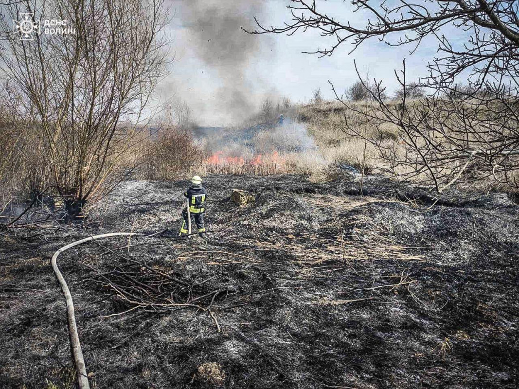 Багато загорянь за кілька годин: як на Волині борються з паліями сухостою