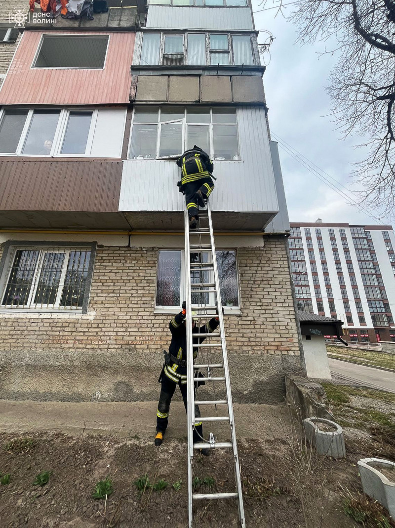 Не виходили на зв'язок: на Волині рятували двох літніх чоловіків