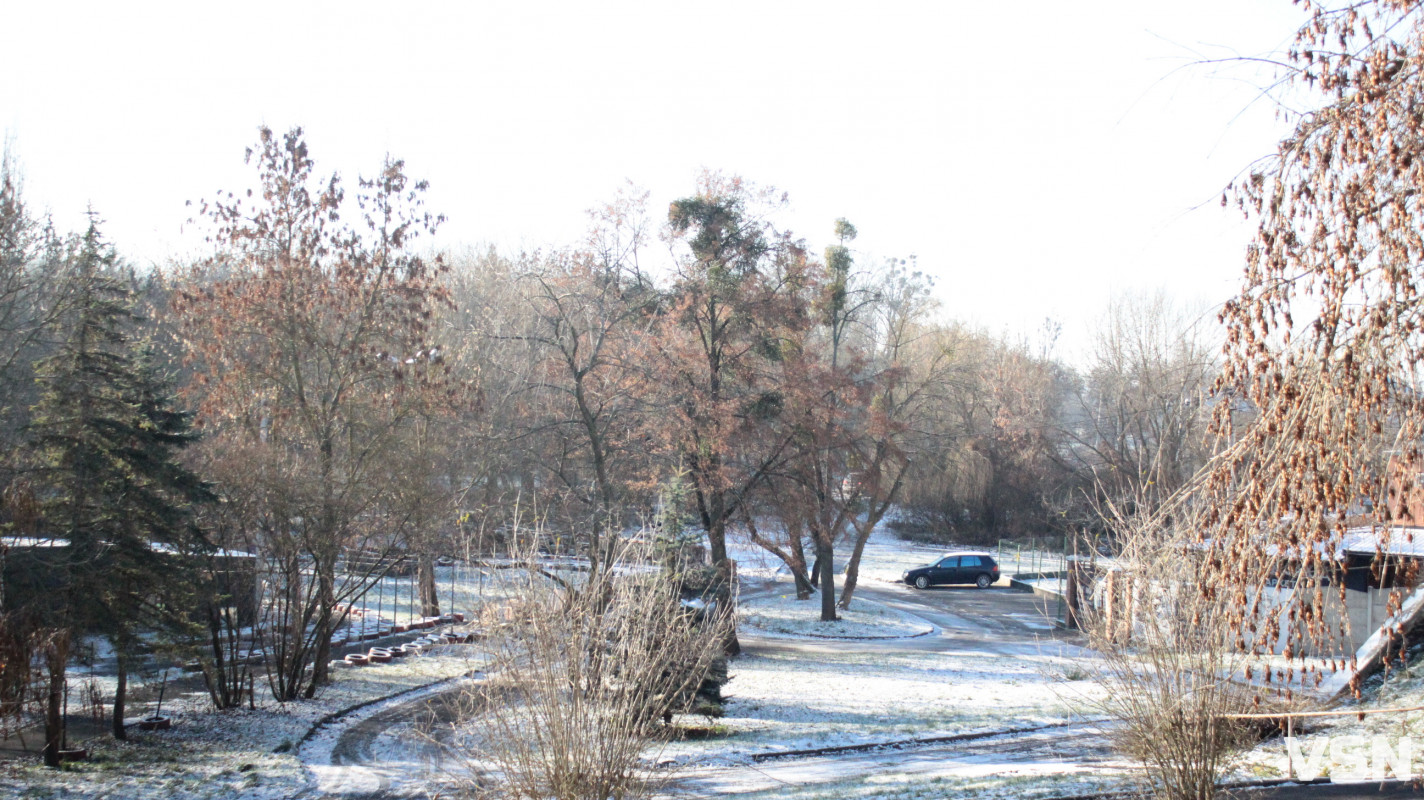 Засніжений Луцьк: як виглядають парки та двори міста взимку напередодні Нового 2026 року. Фоторепортаж